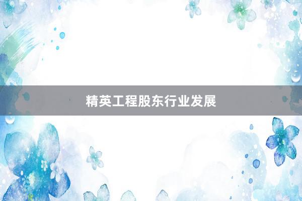 精英工程股东行业发展