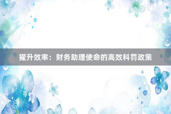 擢升效率：财务助理使命的高效科罚政策