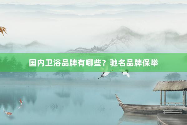 国内卫浴品牌有哪些？驰名品牌保举